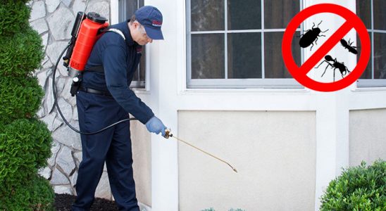 Devrek Bit İlaçlama böcek ilaçlama ve haşere kontrolü — ilaclama-tr.com